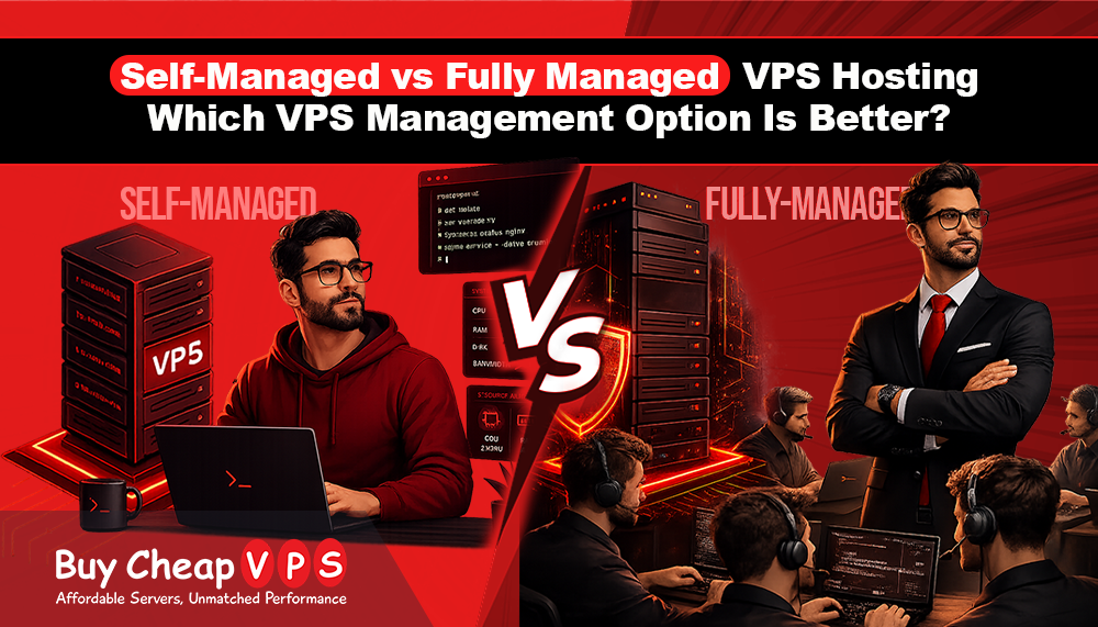 Self-Managed vs Fully Managed VPS Hosting: Which VPS Management Option Is Better?